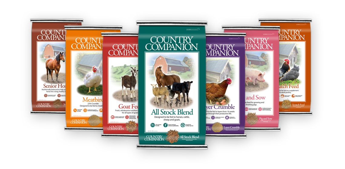 Just another WordPress site