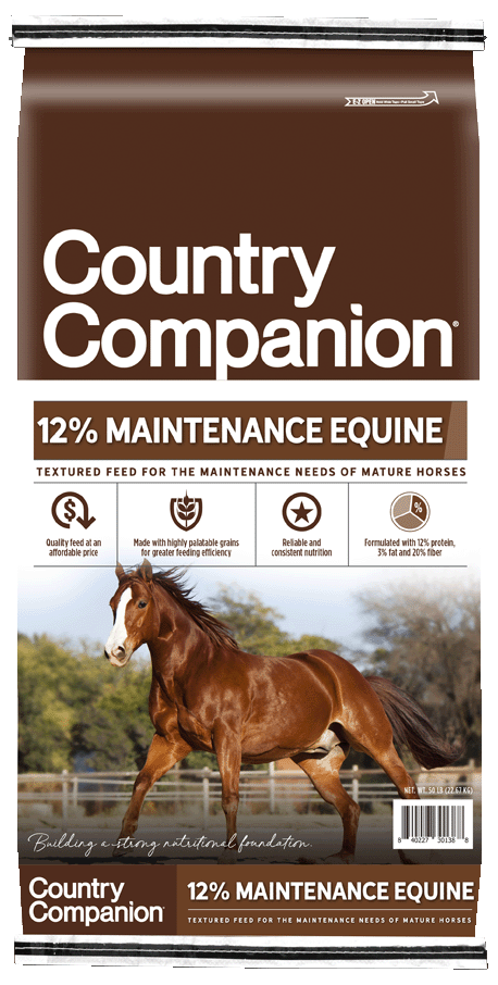 CC_12MaintenanceEquine