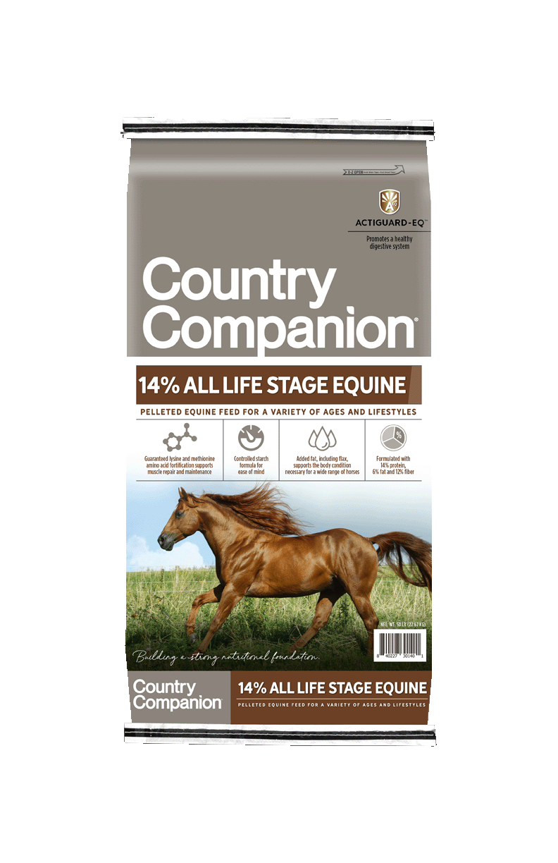 Equine & Multi-Species Feed – Country Companion