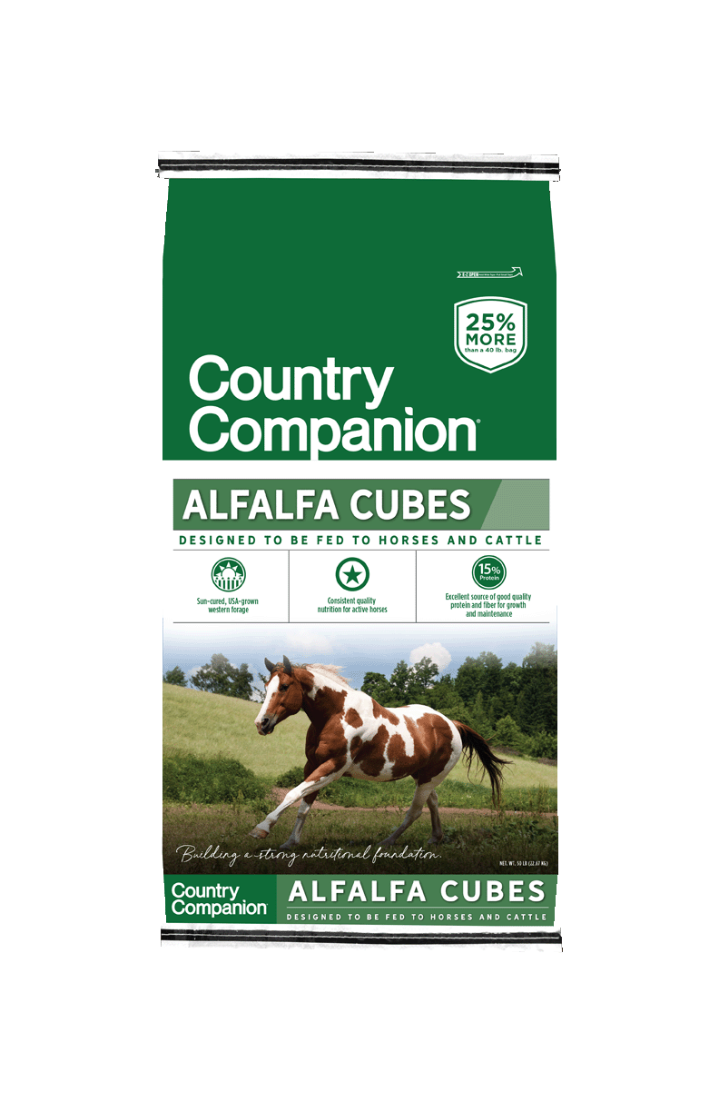 Equine & Multi-Species Feed – Country Companion