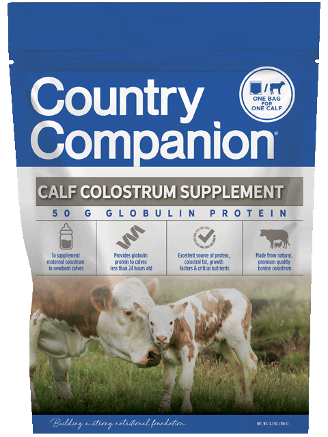 CC_CalfColostrumSupplement