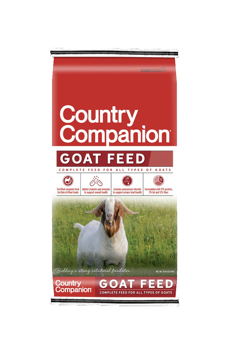 CC_Goat01