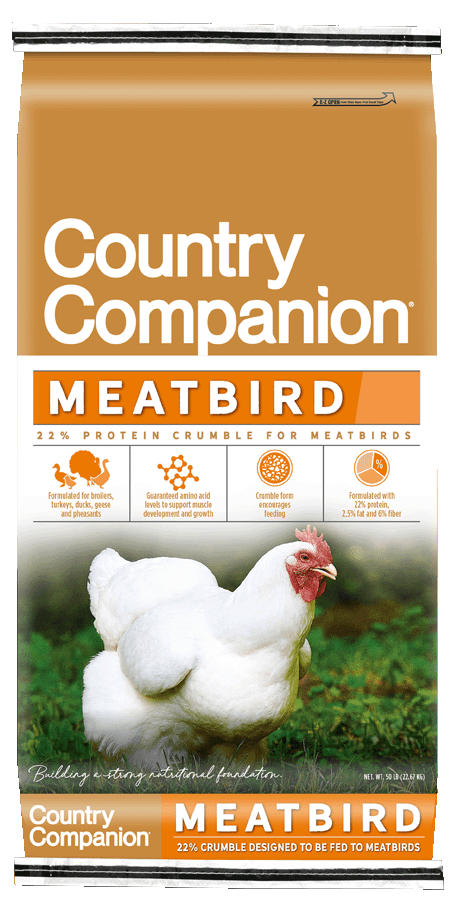 CC_MeatBird-1