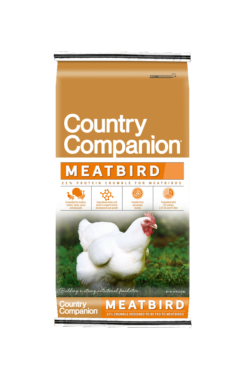 CC_Meatbird