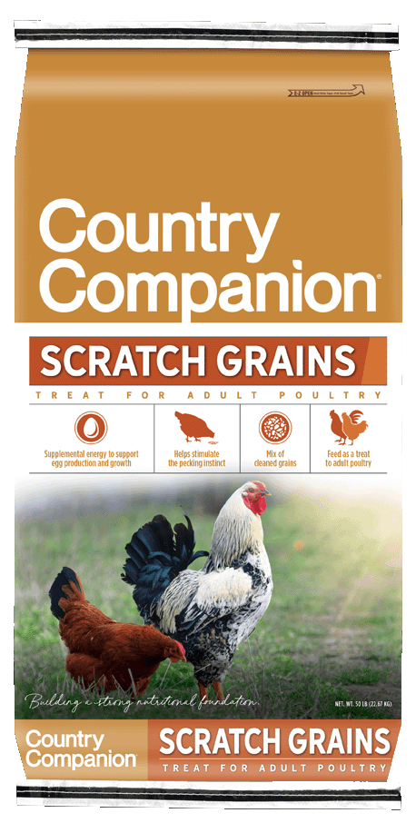 CC_ScratchGrains-1