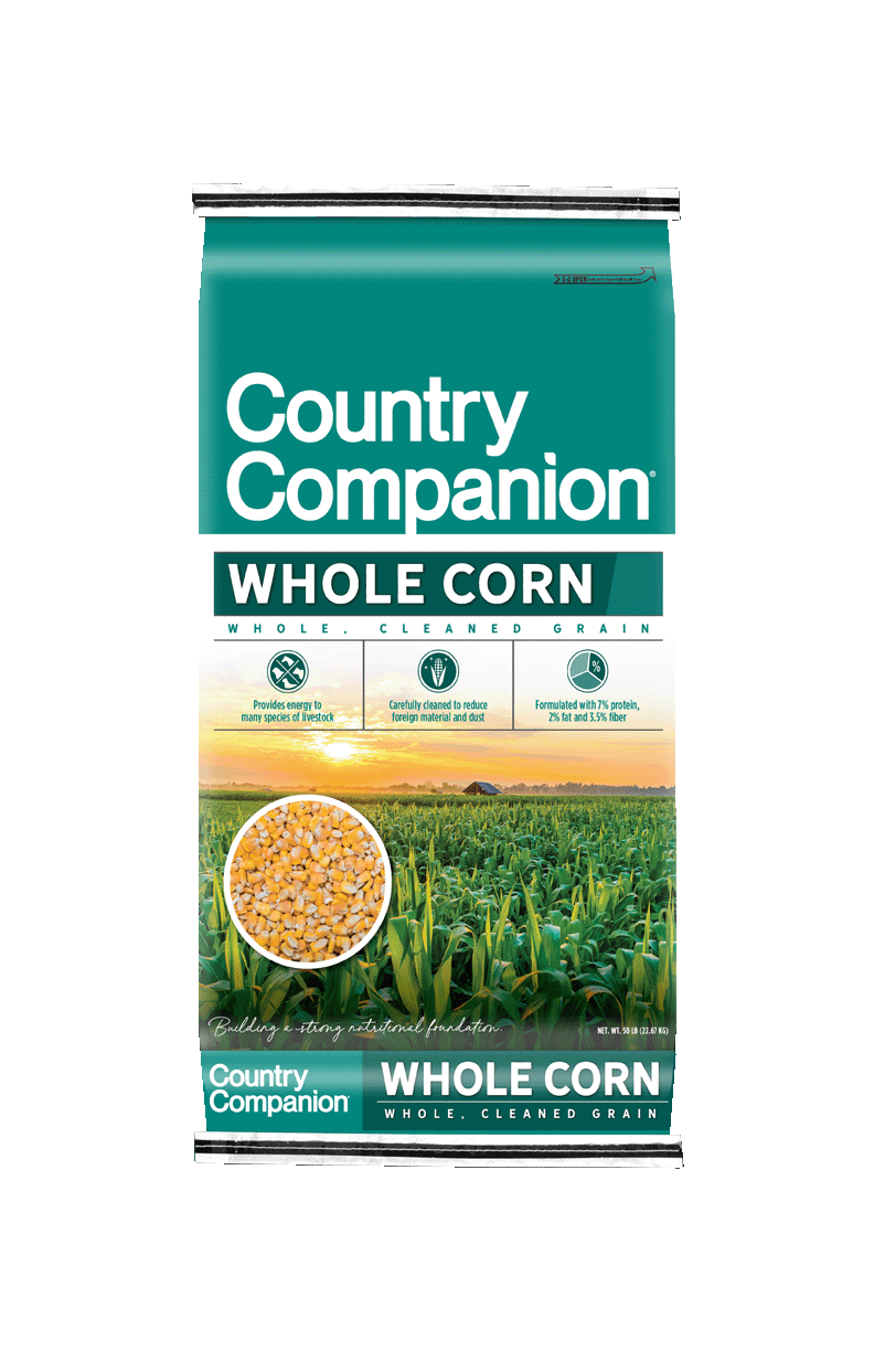 CC_WholeCorn01-2